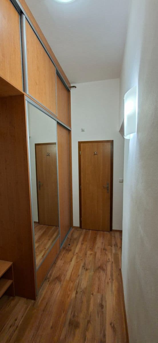 1 bedroom with open-plan kitchen flat to rent, 50 m², Mánesova, Hradec Králové, Královéhradecký Region 1 bedroom with open-plan kitchen flat to rent, 50 m², Mánesova, Hradec Králové, Královéhradecký Region