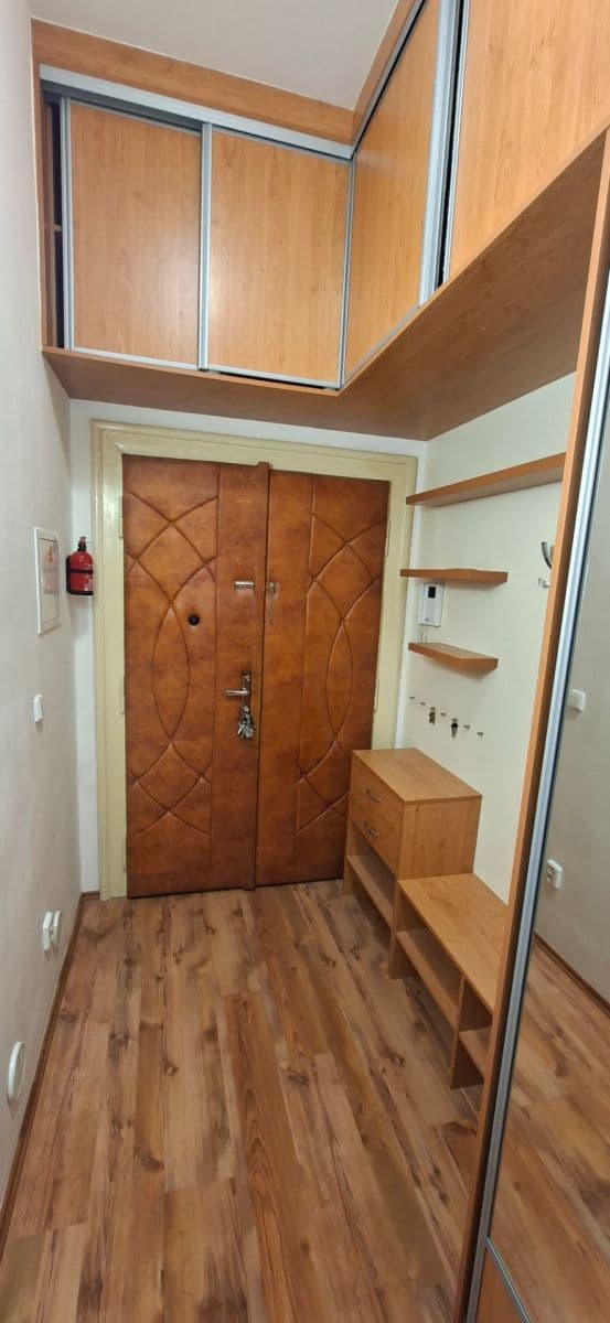 1 bedroom with open-plan kitchen flat to rent, 50 m², Mánesova, Hradec Králové, Královéhradecký Region 1 bedroom with open-plan kitchen flat to rent, 50 m², Mánesova, Hradec Králové, Královéhradecký Region
