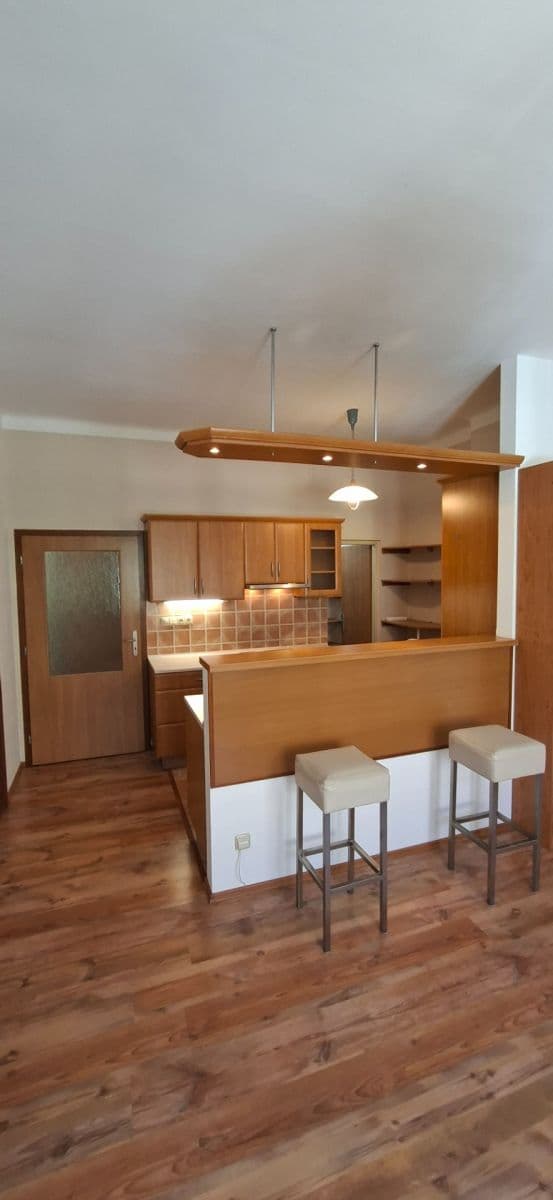 1 bedroom with open-plan kitchen flat to rent, 50 m², Mánesova, Hradec Králové, Královéhradecký Region 1 bedroom with open-plan kitchen flat to rent, 50 m², Mánesova, Hradec Králové, Královéhradecký Region