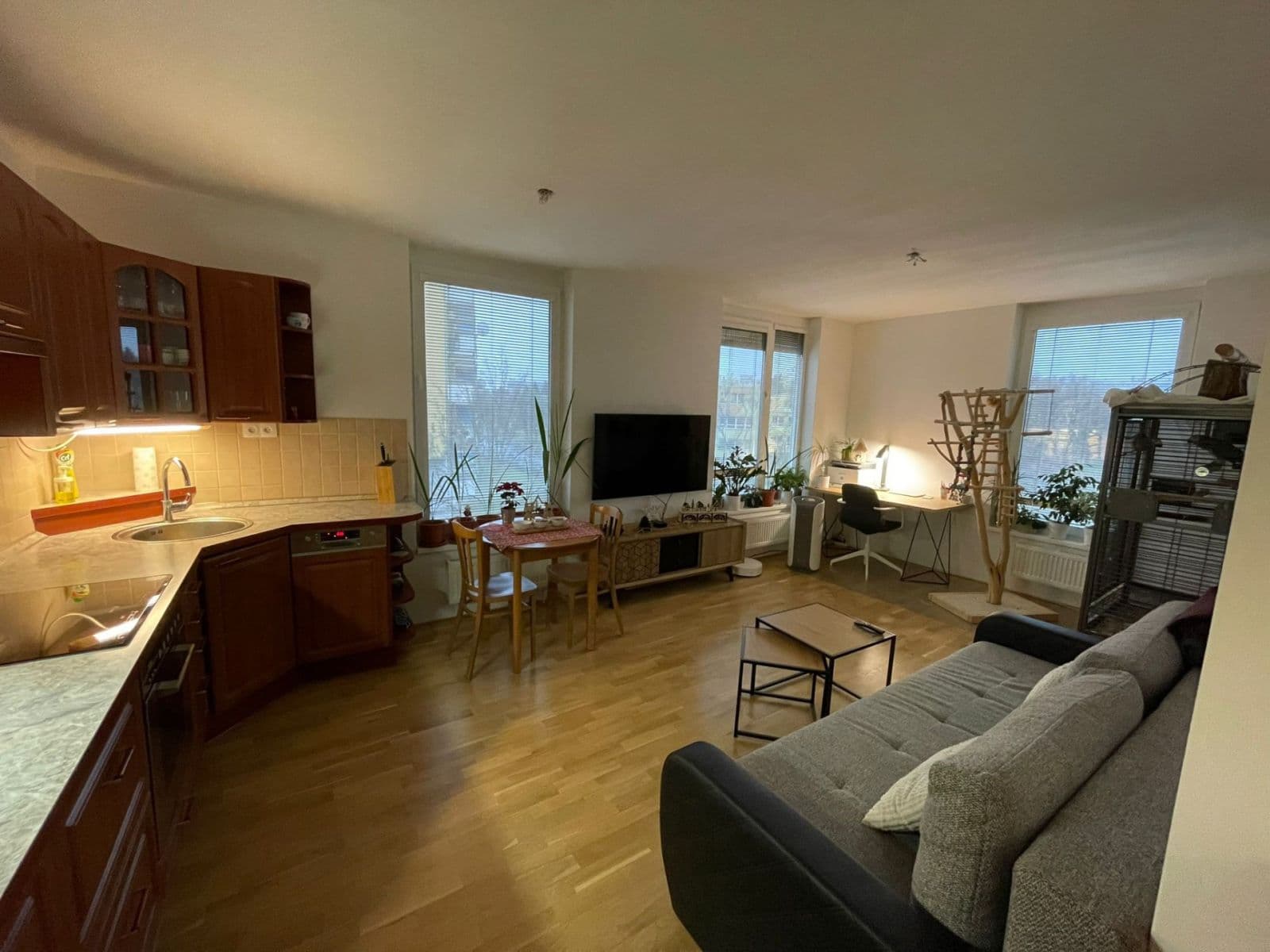 1 bedroom with open-plan kitchen flat for sale, 47 m², Kostomlatská, Prague, Prague 1 bedroom with open-plan kitchen flat for sale, 47 m², Kostomlatská, Prague, Prague
