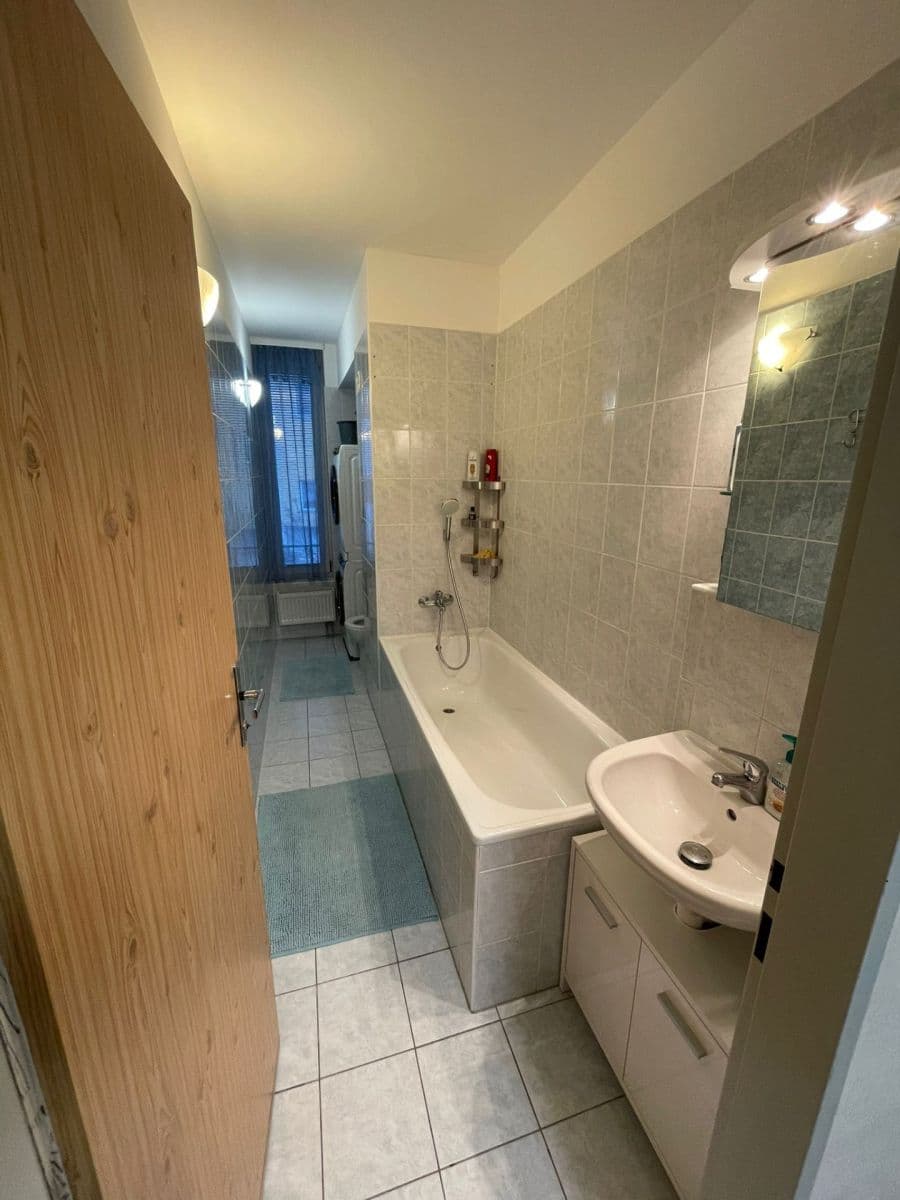 1 bedroom with open-plan kitchen flat for sale, 47 m², Kostomlatská, Prague, Prague 1 bedroom with open-plan kitchen flat for sale, 47 m², Kostomlatská, Prague, Prague