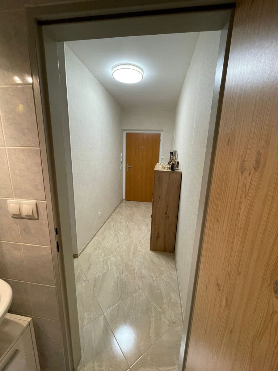 1 bedroom with open-plan kitchen flat for sale, 47 m², Kostomlatská, Prague, Prague 1 bedroom with open-plan kitchen flat for sale, 47 m², Kostomlatská, Prague, Prague