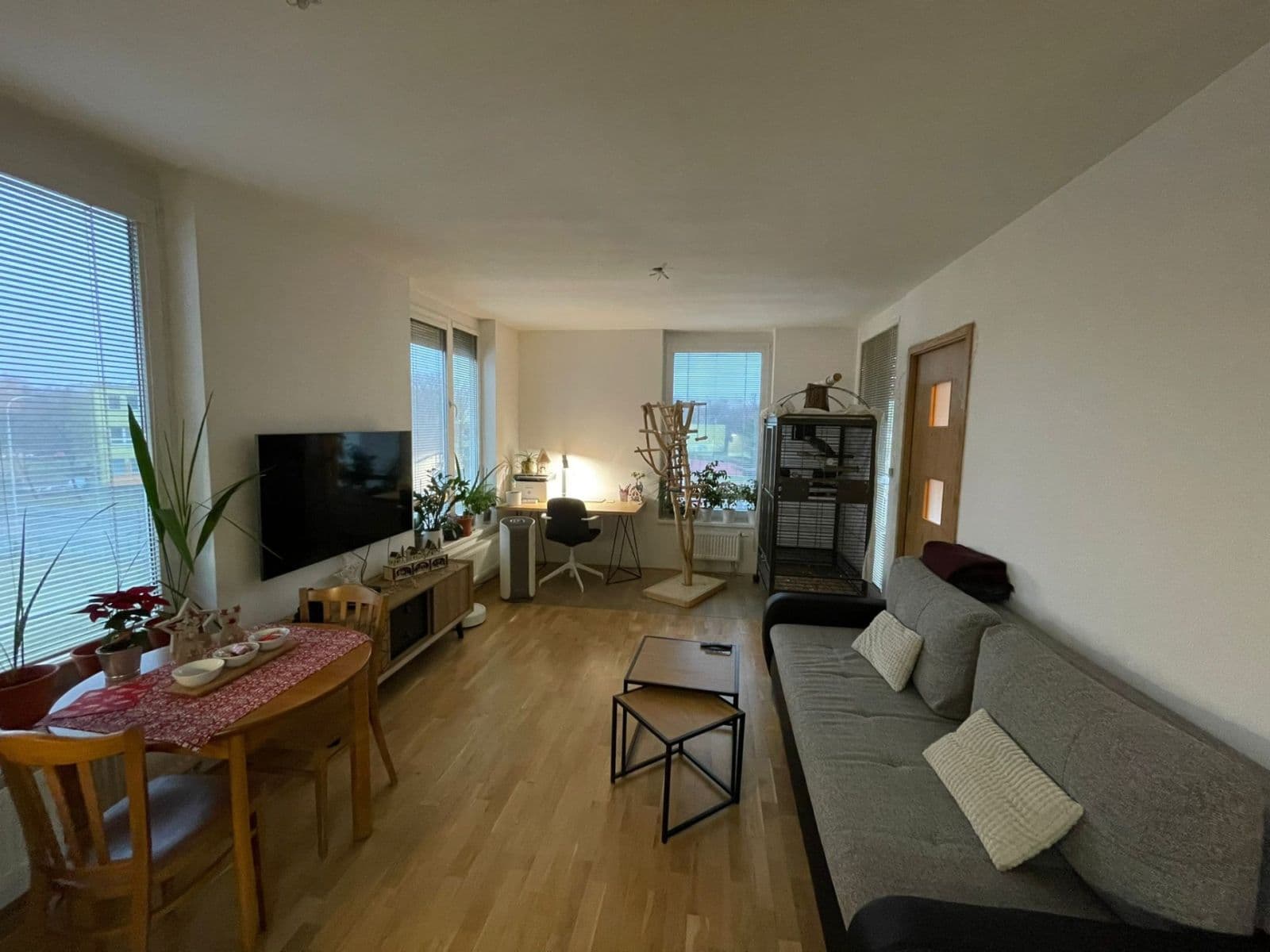 1 bedroom with open-plan kitchen flat for sale, 47 m², Kostomlatská, Prague, Prague 1 bedroom with open-plan kitchen flat for sale, 47 m², Kostomlatská, Prague, Prague