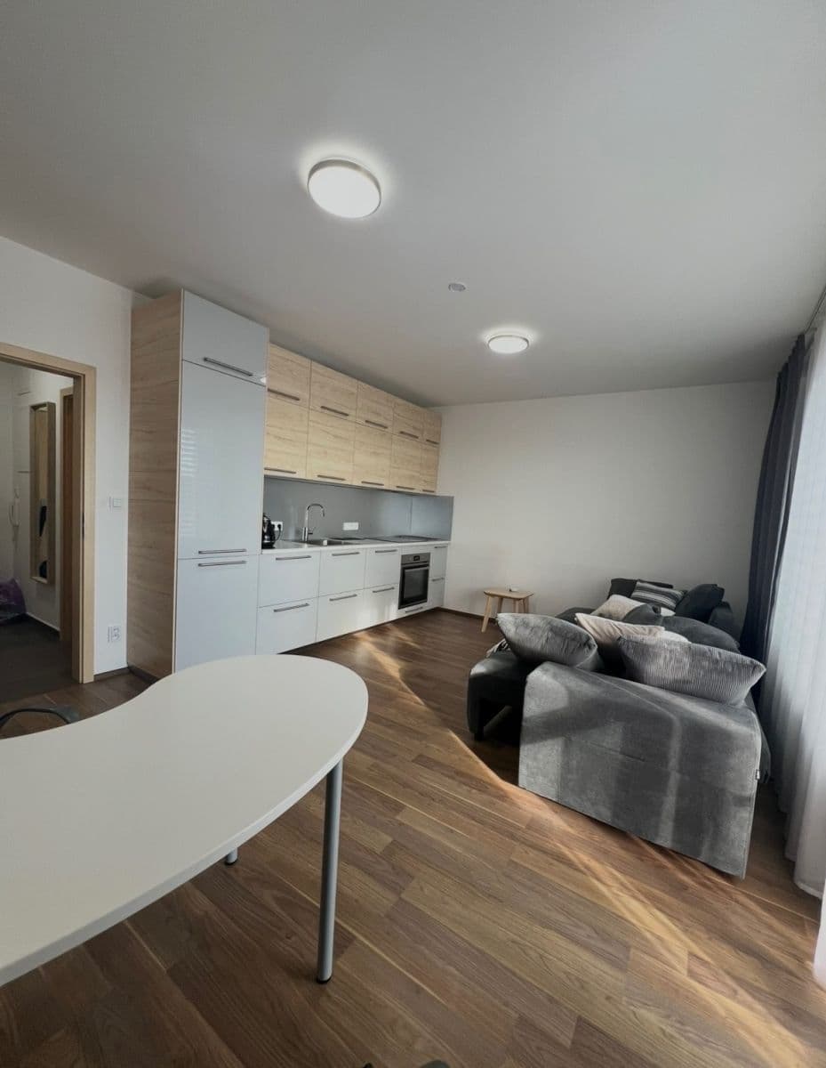 Studio flat to rent, 33 m², Dobrovolného, Prague, Prague Studio flat to rent, 33 m², Dobrovolného, Prague, Prague
