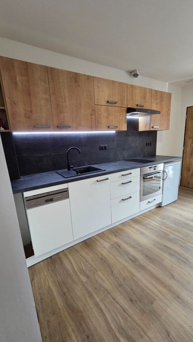 1 bedroom with open-plan kitchen flat to rent, 38 m², Lelkova, Brno, Jihomoravský Region 1 bedroom with open-plan kitchen flat to rent, 38 m², Lelkova, Brno, Jihomoravský Region