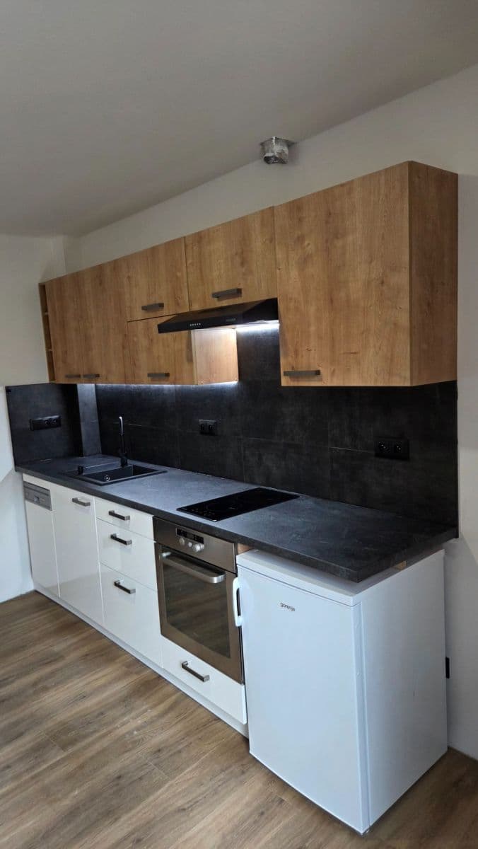 1 bedroom with open-plan kitchen flat to rent, 38 m², Lelkova, Brno, Jihomoravský Region 1 bedroom with open-plan kitchen flat to rent, 38 m², Lelkova, Brno, Jihomoravský Region