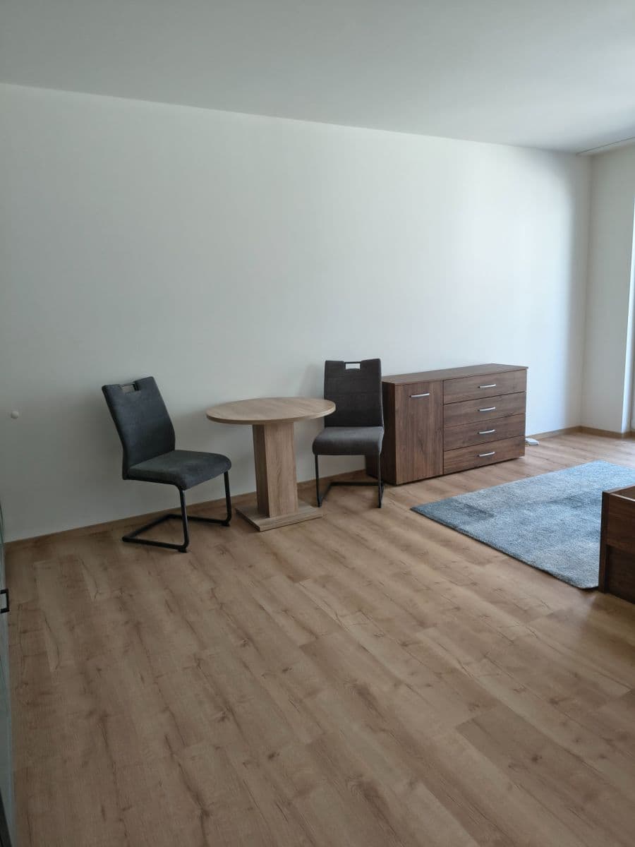 Studio flat to rent, 37 m², Gerstelova, Prague, Prague Studio flat to rent, 37 m², Gerstelova, Prague, Prague