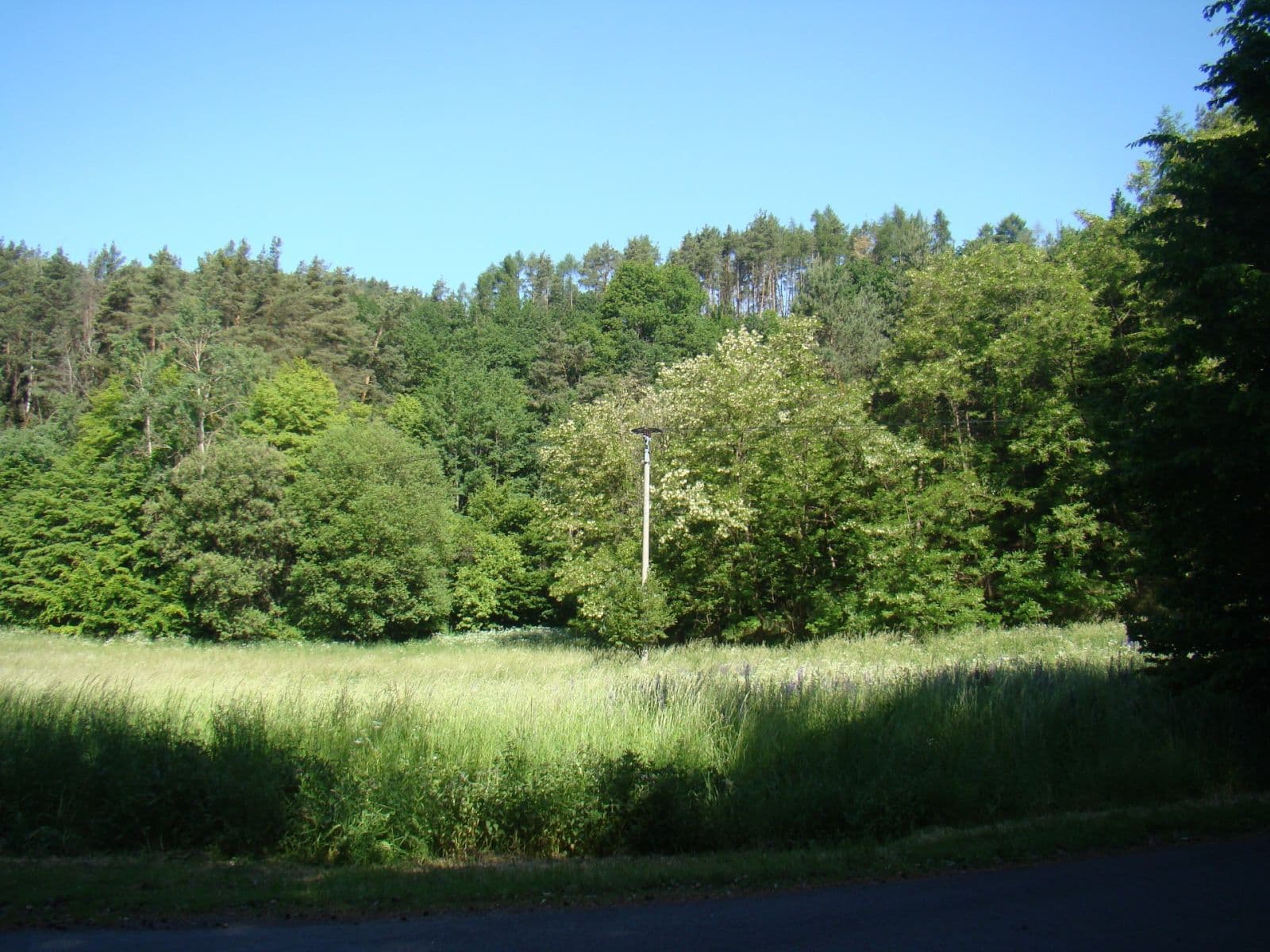 plot for sale, 6,471 m², 25935, Vidim, Středočeský Region plot for sale, 6,471 m², 25935, Vidim, Středočeský Region