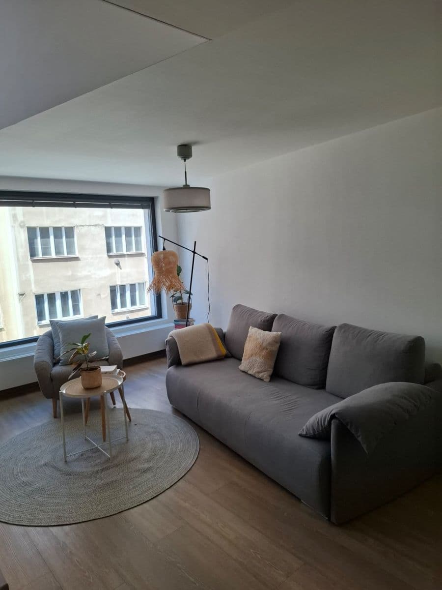 1 bedroom with open-plan kitchen flat to rent, 48 m², U Libeňského pivovaru, Prague, Prague 1 bedroom with open-plan kitchen flat to rent, 48 m², U Libeňského pivovaru, Prague, Prague