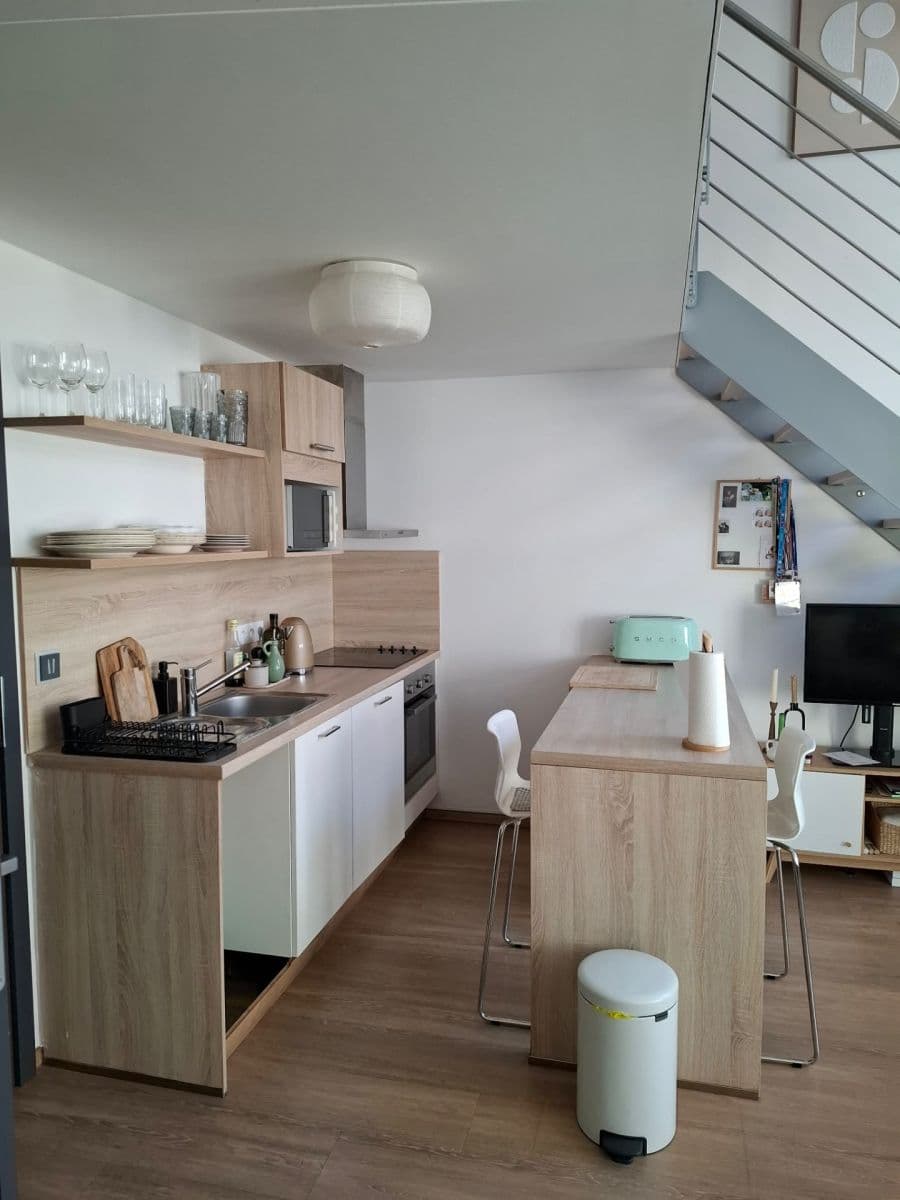 1 bedroom with open-plan kitchen flat to rent, 48 m², U Libeňského pivovaru, Prague, Prague 1 bedroom with open-plan kitchen flat to rent, 48 m², U Libeňského pivovaru, Prague, Prague