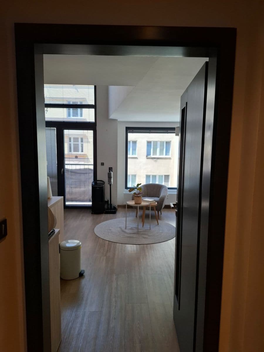 1 bedroom with open-plan kitchen flat to rent, 48 m², U Libeňského pivovaru, Prague, Prague 1 bedroom with open-plan kitchen flat to rent, 48 m², U Libeňského pivovaru, Prague, Prague