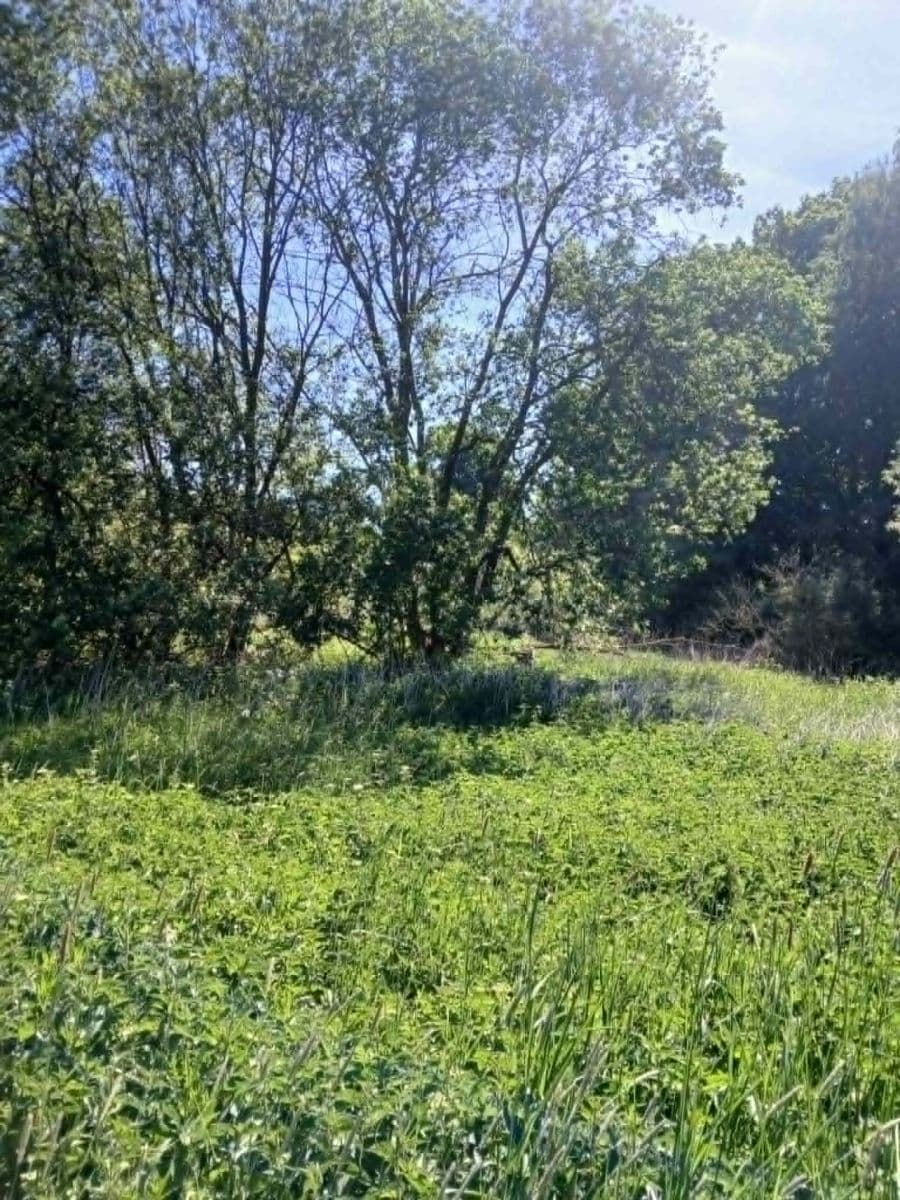 plot for sale, 6,713 m², Rudoltice, Pardubický Region plot for sale, 6,713 m², Rudoltice, Pardubický Region