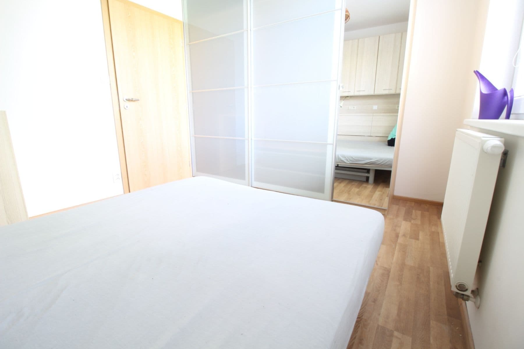 1 bedroom with open-plan kitchen flat to rent, 59 m², Rýnská, Prague, Prague 1 bedroom with open-plan kitchen flat to rent, 59 m², Rýnská, Prague, Prague