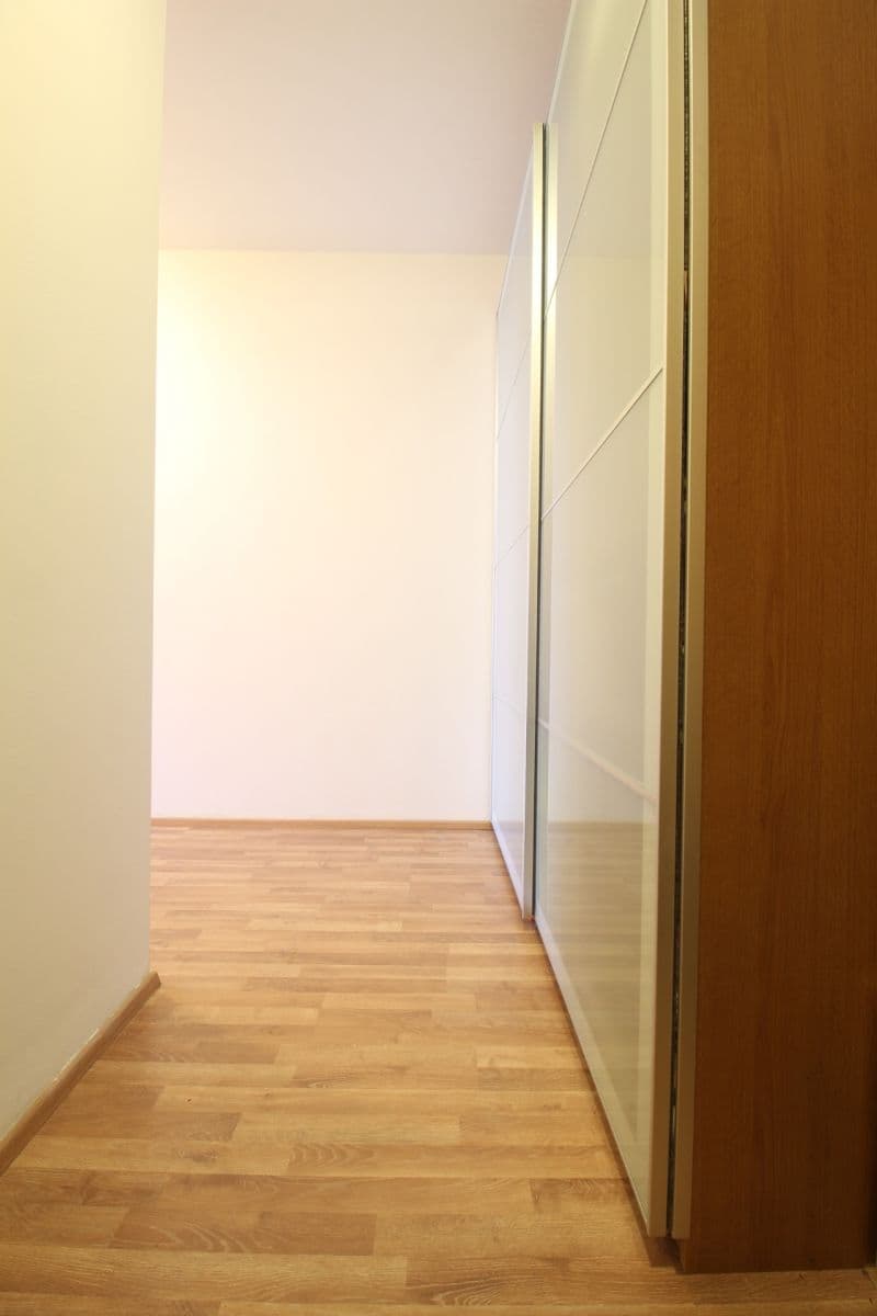 1 bedroom with open-plan kitchen flat to rent, 59 m², Rýnská, Prague, Prague 1 bedroom with open-plan kitchen flat to rent, 59 m², Rýnská, Prague, Prague
