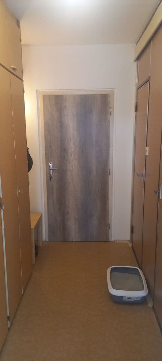 1 bedroom with open-plan kitchen flat to rent, 43 m², Ostravská, Prague, Prague 1 bedroom with open-plan kitchen flat to rent, 43 m², Ostravská, Prague, Prague
