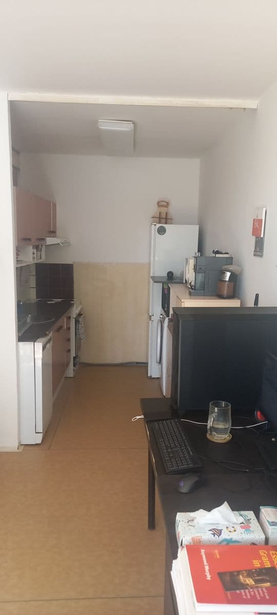 1 bedroom with open-plan kitchen flat to rent, 43 m², Ostravská, Prague, Prague 1 bedroom with open-plan kitchen flat to rent, 43 m², Ostravská, Prague, Prague