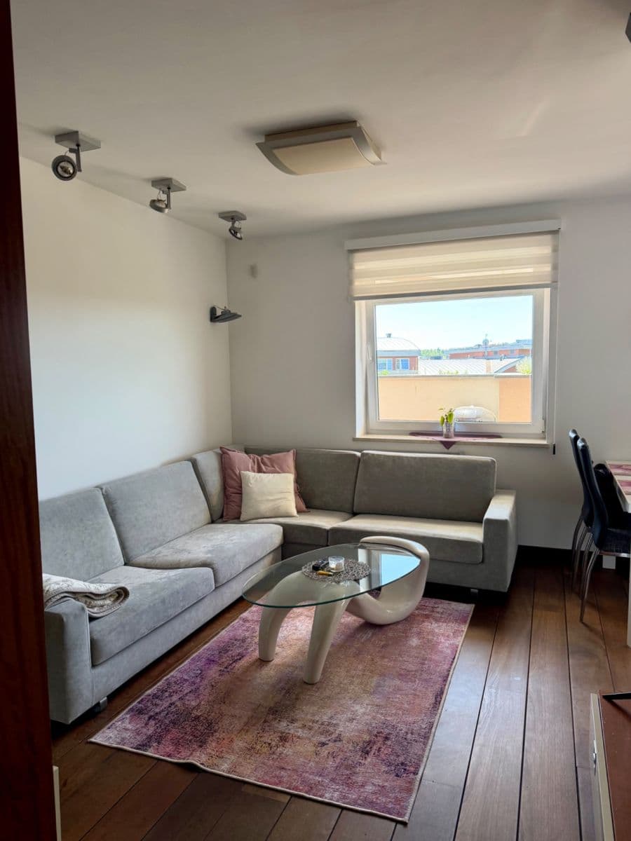 1 bedroom with open-plan kitchen flat to rent, 50 m², Nepilova, Prague, Prague 1 bedroom with open-plan kitchen flat to rent, 50 m², Nepilova, Prague, Prague