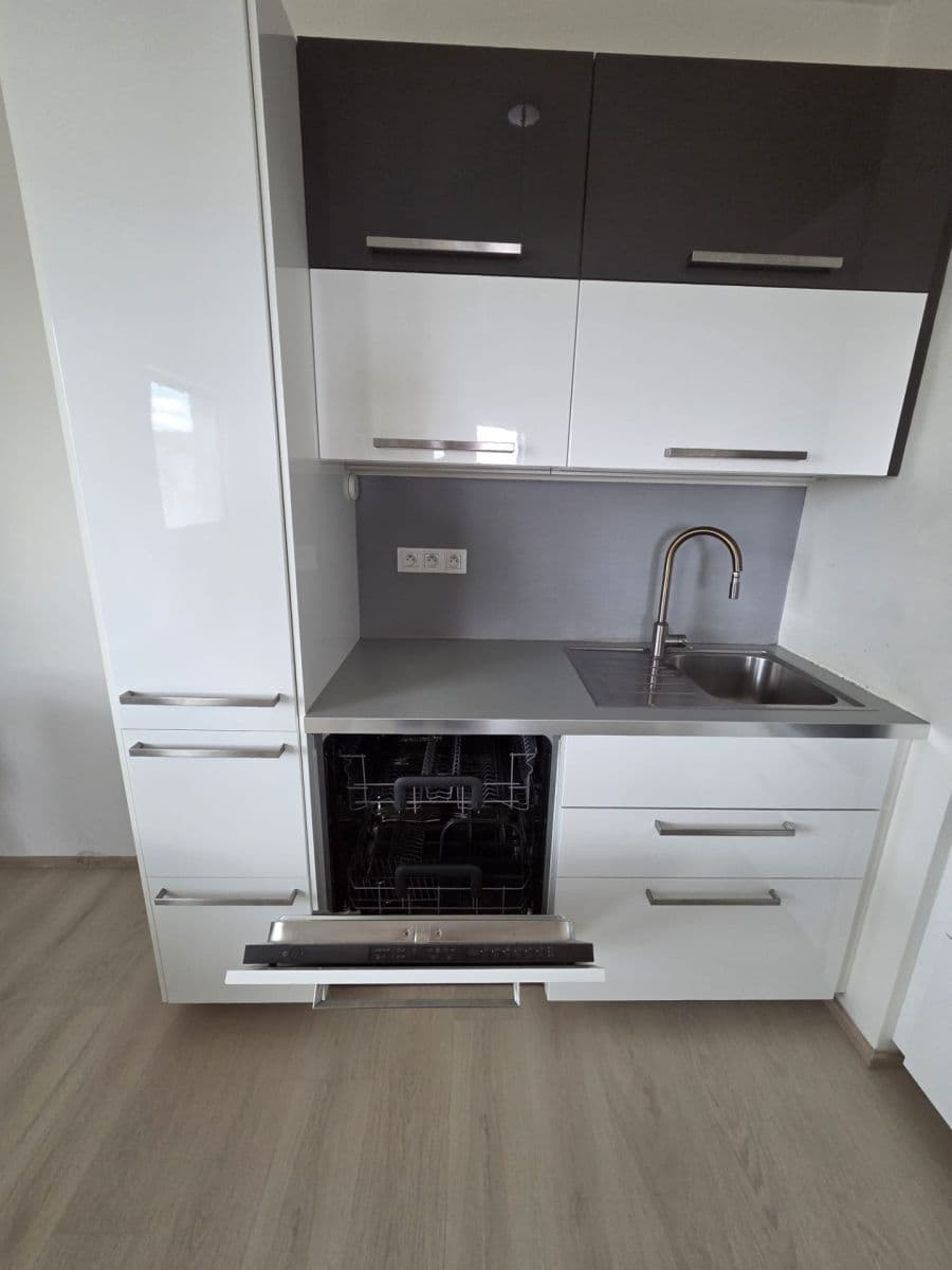 1 bedroom with open-plan kitchen flat to rent, 64 m², Modenská, Prague, Prague 1 bedroom with open-plan kitchen flat to rent, 64 m², Modenská, Prague, Prague