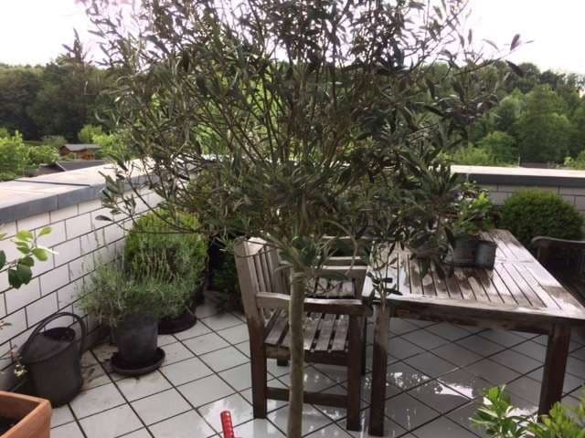 3 bedroom flat to rent, 115 m², Holzer Weg 41c, Leverkusen, North Rhine-Westphalia 3 bedroom flat to rent, 115 m², Holzer Weg 41c, Leverkusen, North Rhine-Westphalia