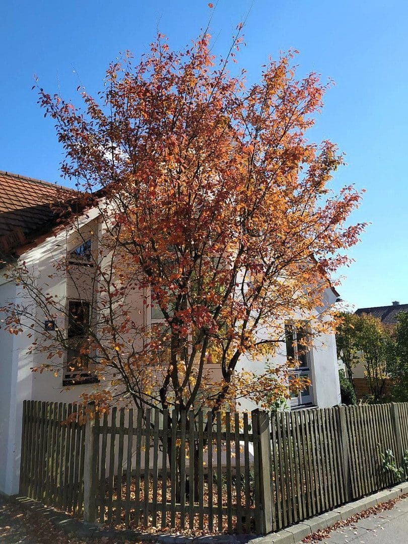 house for sale, 300 m², Dietfurt an der Altmühl, Bavaria house for sale, 300 m², Dietfurt an der Altmühl, Bavaria