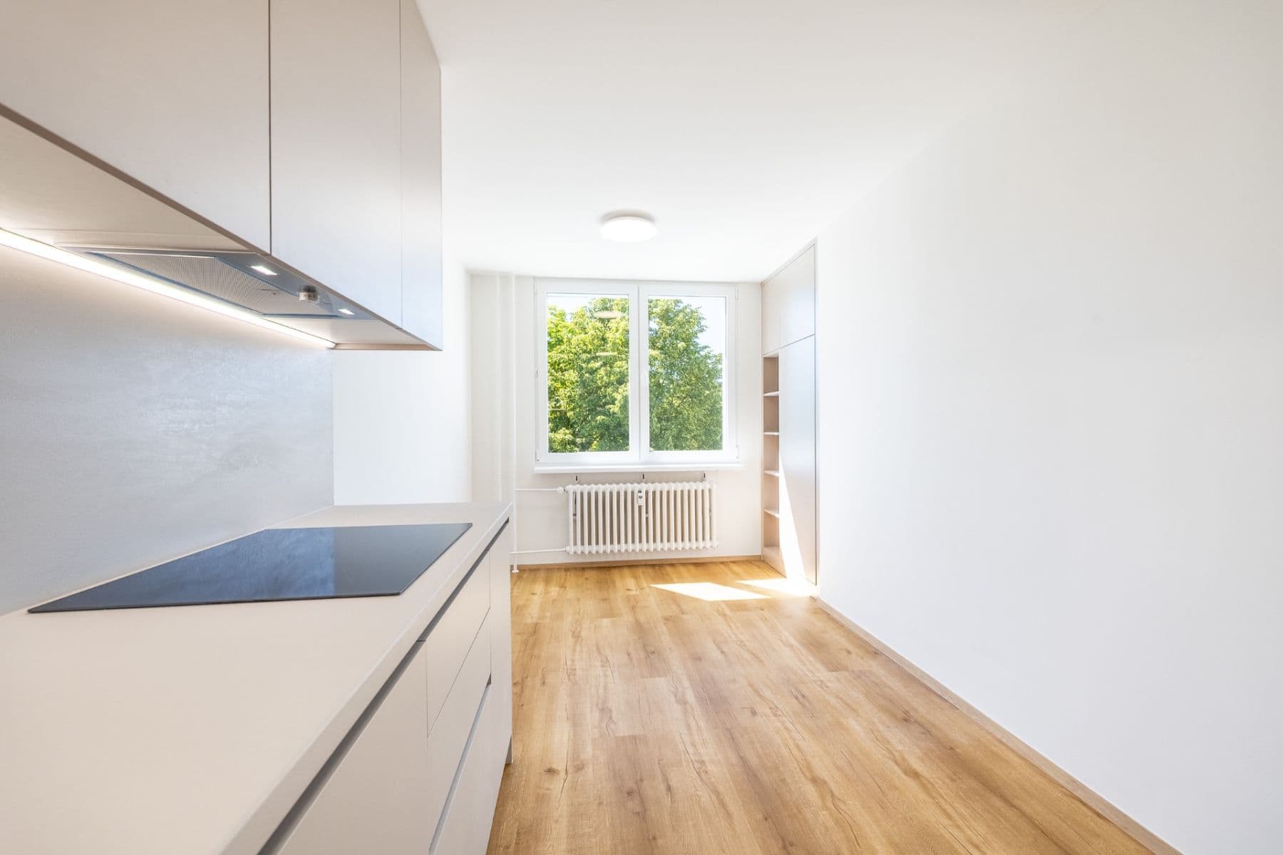 2 bedroom with open-plan kitchen flat for sale, 77 m², Emilie Hyblerové, Prague, Prague 2 bedroom with open-plan kitchen flat for sale, 77 m², Emilie Hyblerové, Prague, Prague