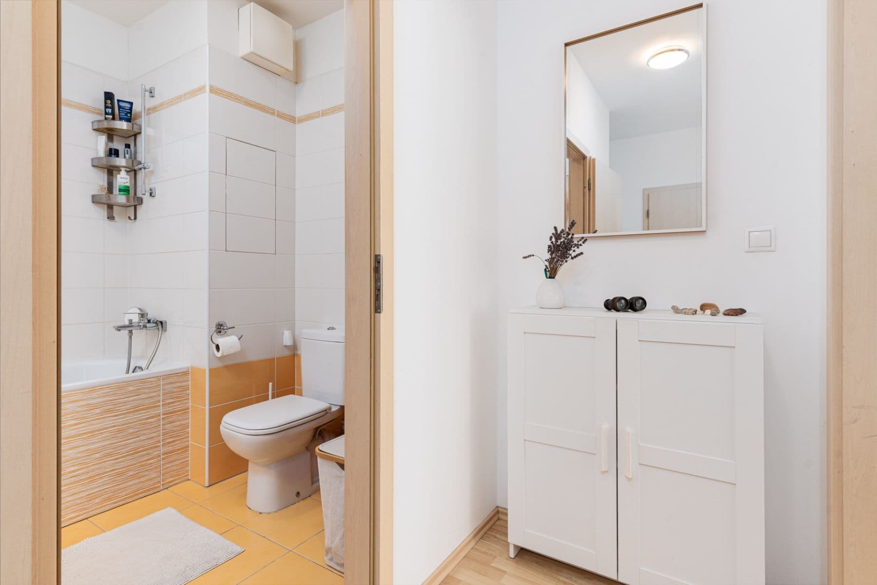 1 bedroom with open-plan kitchen flat to rent, 50 m², U Hostavického potoka, Prague, Prague 1 bedroom with open-plan kitchen flat to rent, 50 m², U Hostavického potoka, Prague, Prague