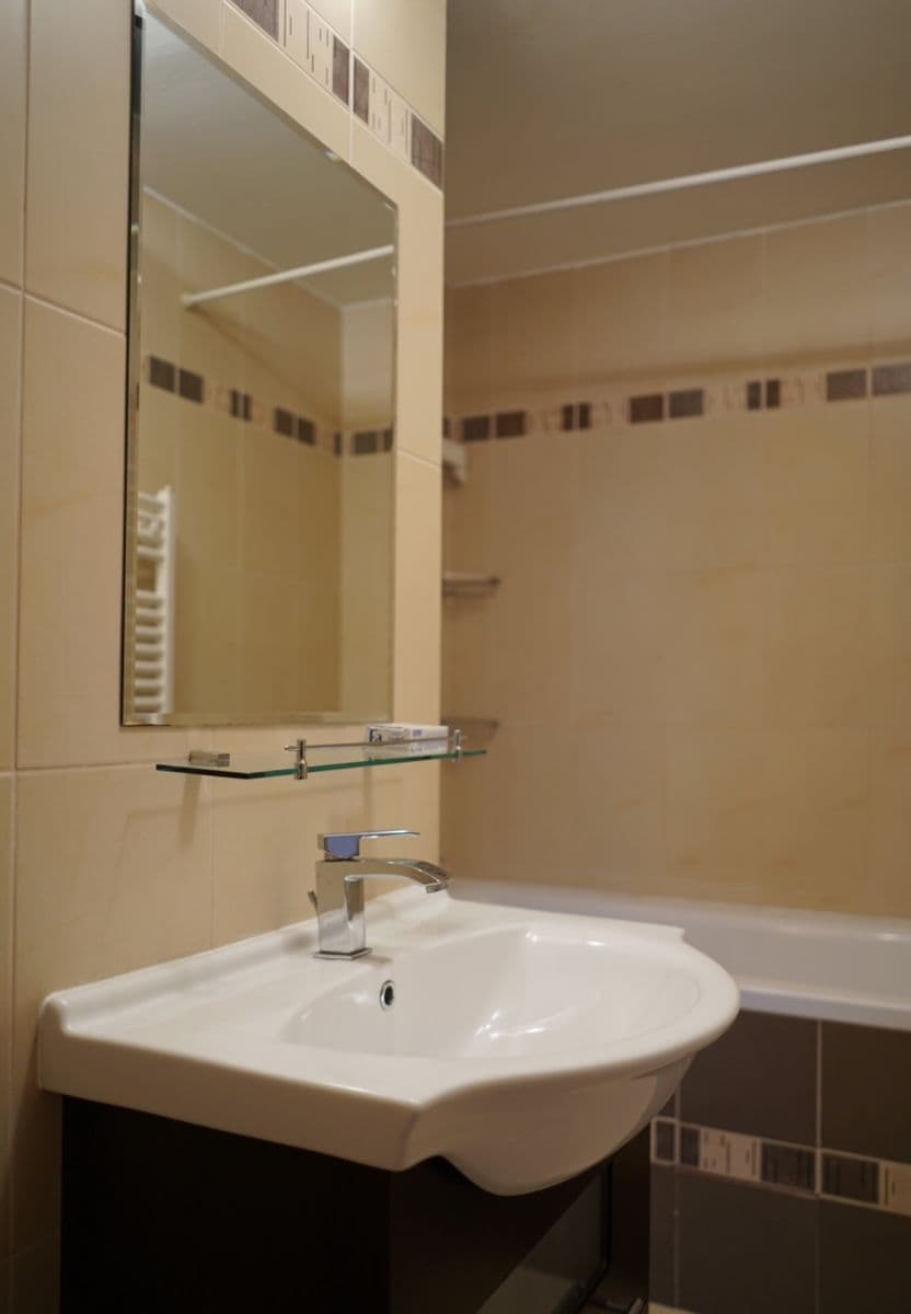1 bedroom with open-plan kitchen flat to rent, 56 m², Slávy Horníka, Prague, Prague 1 bedroom with open-plan kitchen flat to rent, 56 m², Slávy Horníka, Prague, Prague