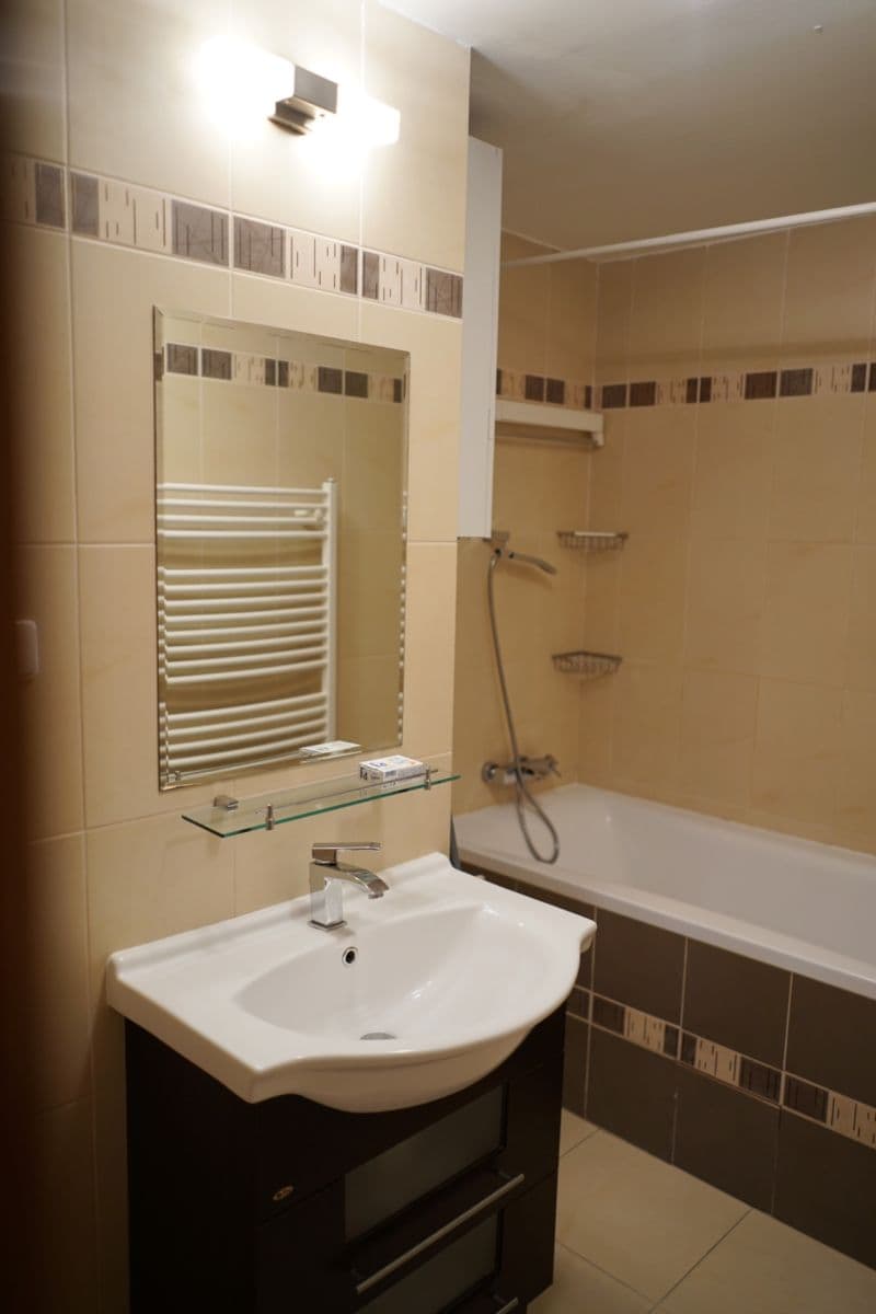1 bedroom with open-plan kitchen flat to rent, 56 m², Slávy Horníka, Prague, Prague 1 bedroom with open-plan kitchen flat to rent, 56 m², Slávy Horníka, Prague, Prague