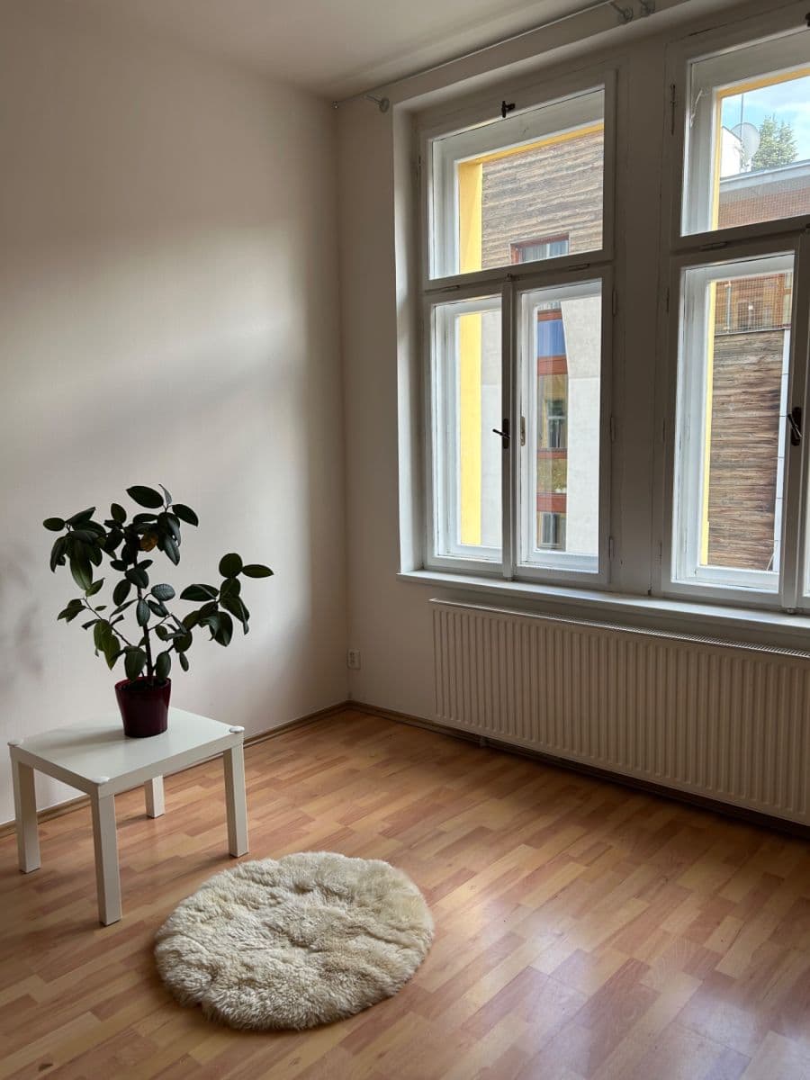 1 bedroom with open-plan kitchen flat to rent, 56 m², Slávy Horníka, Prague, Prague 1 bedroom with open-plan kitchen flat to rent, 56 m², Slávy Horníka, Prague, Prague