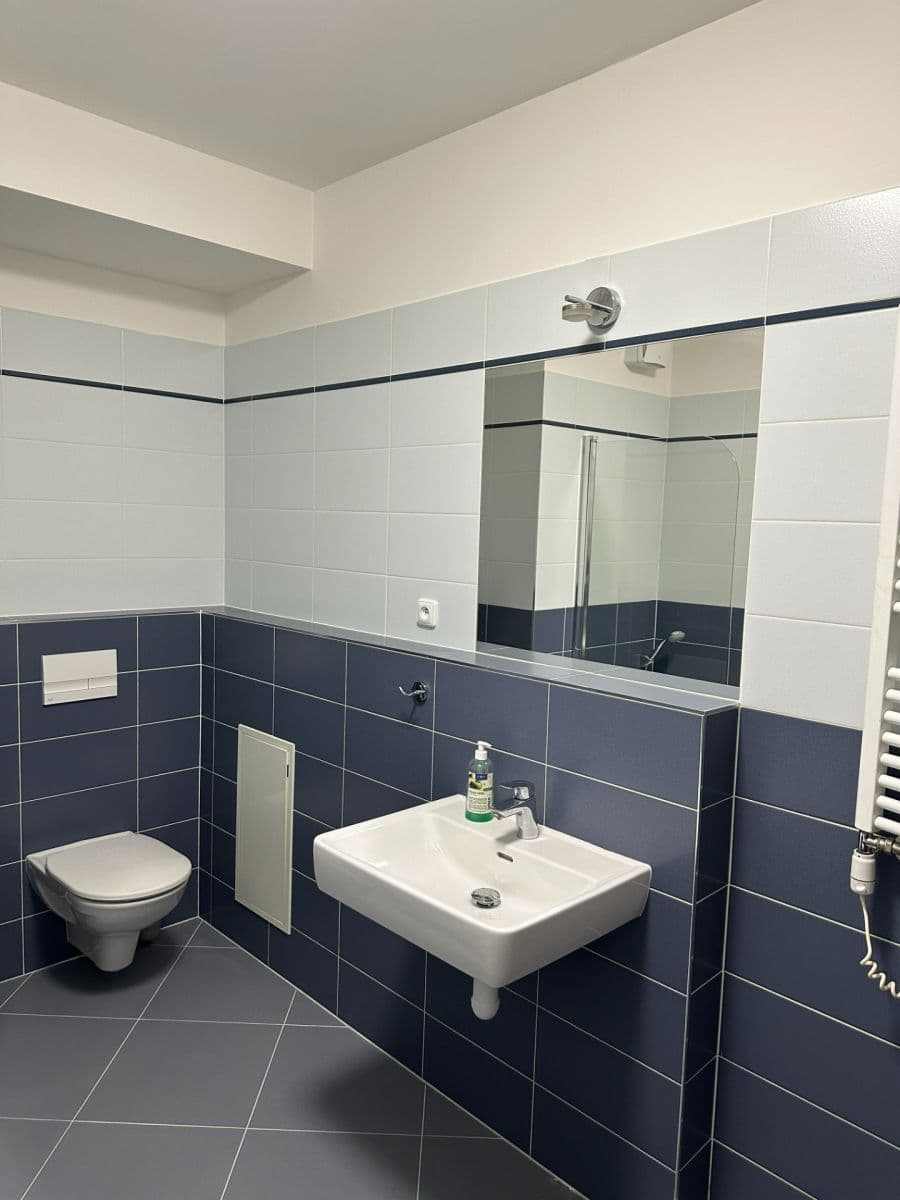 1 bedroom with open-plan kitchen flat to rent, 53 m², Klementova, Prague, Prague 1 bedroom with open-plan kitchen flat to rent, 53 m², Klementova, Prague, Prague
