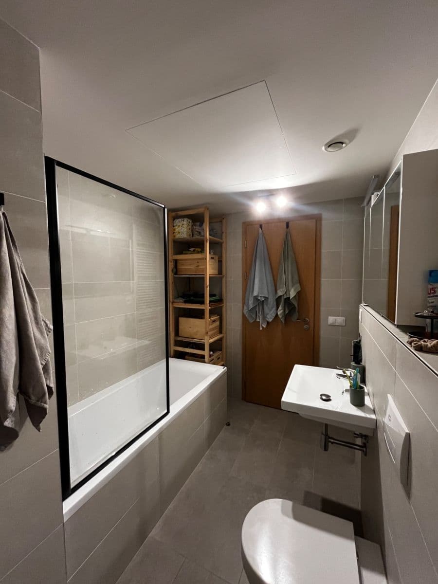 1 bedroom with open-plan kitchen flat to rent, 56 m², Smržových, Prague, Prague 1 bedroom with open-plan kitchen flat to rent, 56 m², Smržových, Prague, Prague