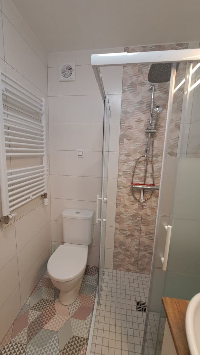 1 bedroom with open-plan kitchen flat to rent, 54 m², Moravanů, Prague, Prague 1 bedroom with open-plan kitchen flat to rent, 54 m², Moravanů, Prague, Prague
