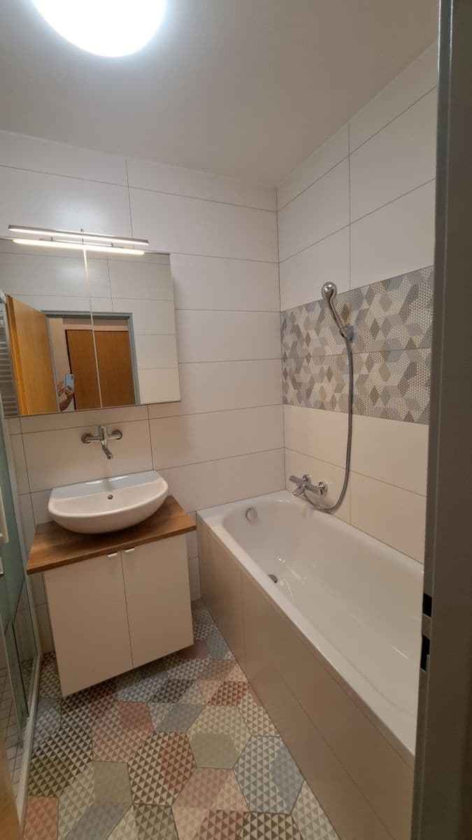 1 bedroom with open-plan kitchen flat to rent, 54 m², Moravanů, Prague, Prague 1 bedroom with open-plan kitchen flat to rent, 54 m², Moravanů, Prague, Prague