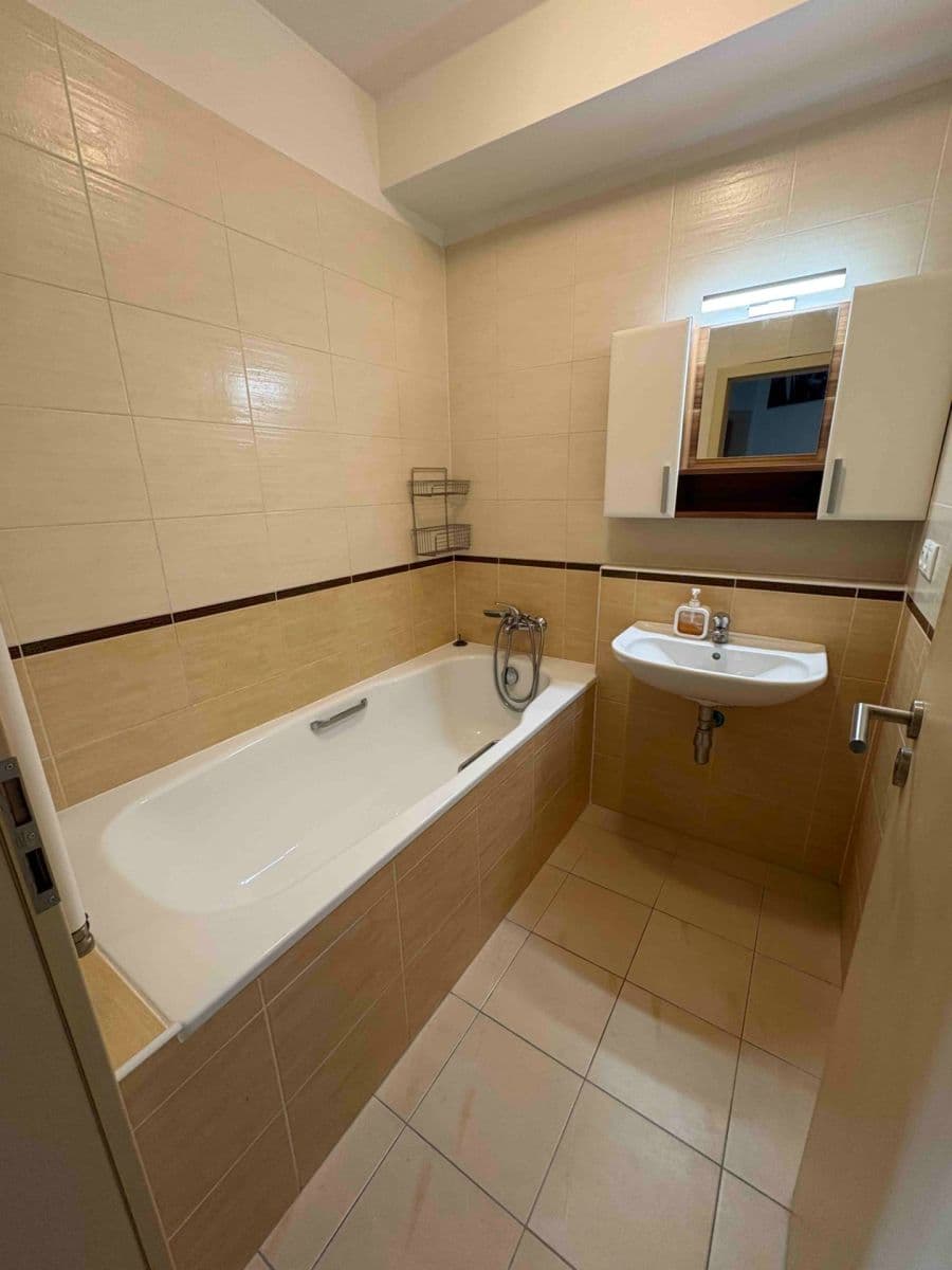 1 bedroom with open-plan kitchen flat to rent, 62 m², Athénská, Prague, Prague 1 bedroom with open-plan kitchen flat to rent, 62 m², Athénská, Prague, Prague