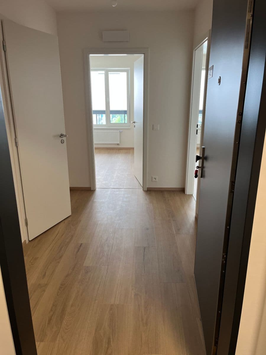 1 bedroom with open-plan kitchen flat to rent, 52 m², Waltariho, Prague, Prague 1 bedroom with open-plan kitchen flat to rent, 52 m², Waltariho, Prague, Prague