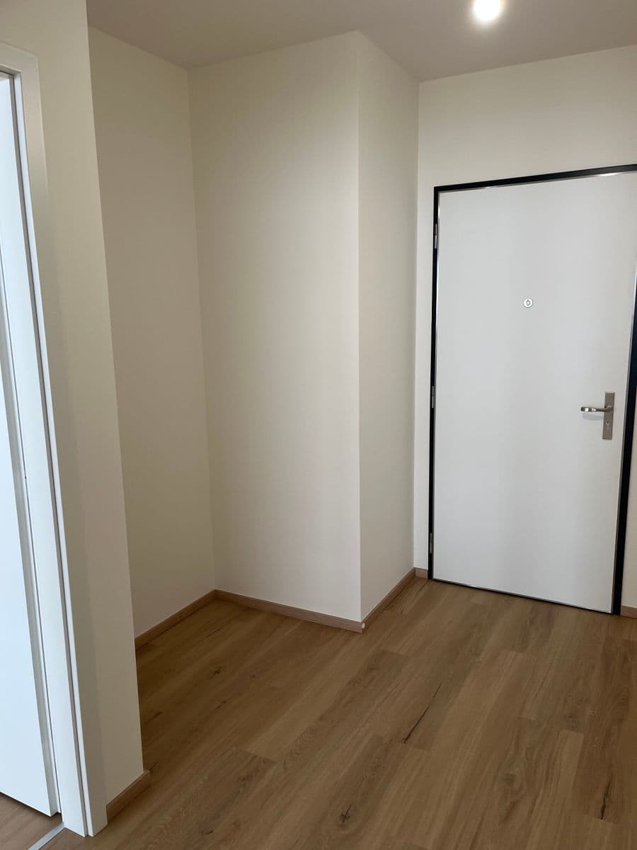 1 bedroom with open-plan kitchen flat to rent, 52 m², Waltariho, Prague, Prague 1 bedroom with open-plan kitchen flat to rent, 52 m², Waltariho, Prague, Prague