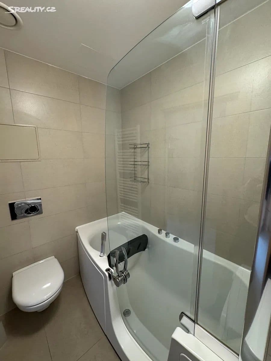 1 bedroom with open-plan kitchen flat to rent, 43 m², Vrchlického, Prague, Prague 1 bedroom with open-plan kitchen flat to rent, 43 m², Vrchlického, Prague, Prague
