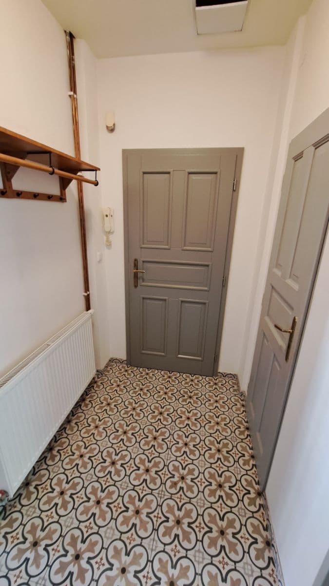 1 bedroom with open-plan kitchen flat to rent, 60 m², Na Václavce, Prague, Prague 1 bedroom with open-plan kitchen flat to rent, 60 m², Na Václavce, Prague, Prague