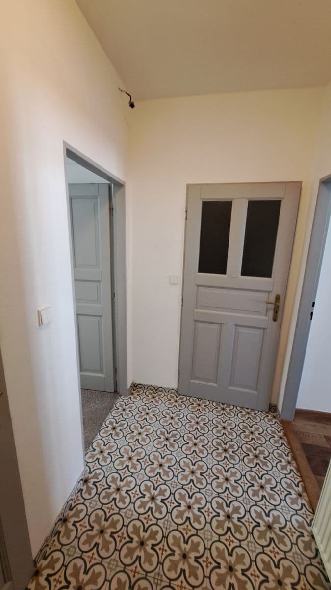 1 bedroom with open-plan kitchen flat to rent, 60 m², Na Václavce, Prague, Prague 1 bedroom with open-plan kitchen flat to rent, 60 m², Na Václavce, Prague, Prague
