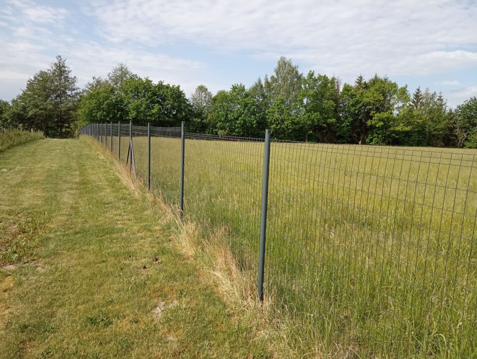 plot for sale, 2,502 m², Petříkov, Jihočeský Region plot for sale, 2,502 m², Petříkov, Jihočeský Region