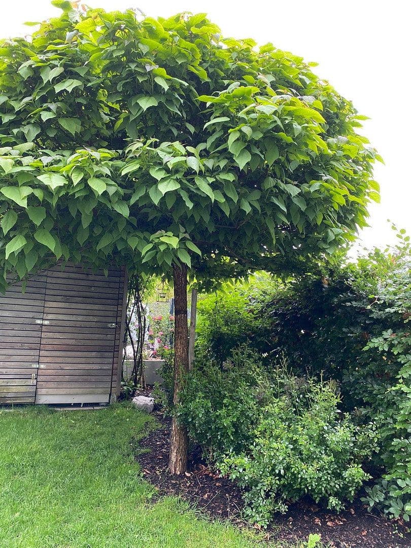 house for sale, 116 m², Bad Aibling, Bavaria house for sale, 116 m², Bad Aibling, Bavaria