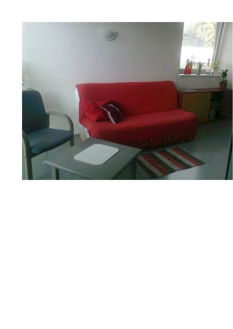 Small studio flat to rent, 18 m², Debřská, Kosmonosy, Středočeský Region Small studio flat to rent, 18 m², Debřská, Kosmonosy, Středočeský Region