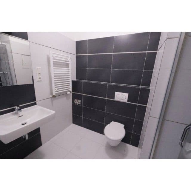 1 bedroom with open-plan kitchen flat to rent, 50 m², Bermanova, Prague, Prague 1 bedroom with open-plan kitchen flat to rent, 50 m², Bermanova, Prague, Prague