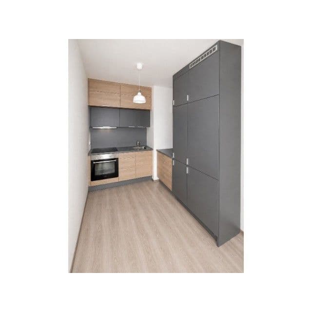 1 bedroom with open-plan kitchen flat to rent, 50 m², Bermanova, Prague, Prague 1 bedroom with open-plan kitchen flat to rent, 50 m², Bermanova, Prague, Prague