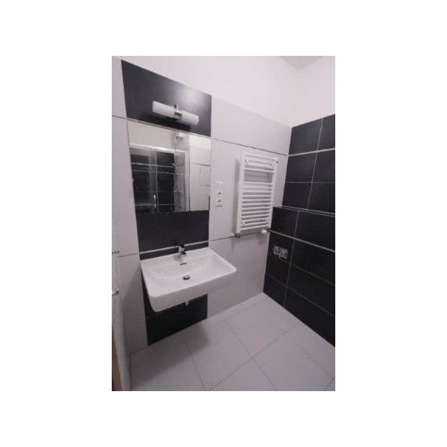 1 bedroom with open-plan kitchen flat to rent, 50 m², Bermanova, Prague, Prague 1 bedroom with open-plan kitchen flat to rent, 50 m², Bermanova, Prague, Prague