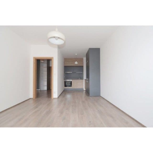 1 bedroom with open-plan kitchen flat to rent, 50 m², Bermanova, Prague, Prague 1 bedroom with open-plan kitchen flat to rent, 50 m², Bermanova, Prague, Prague