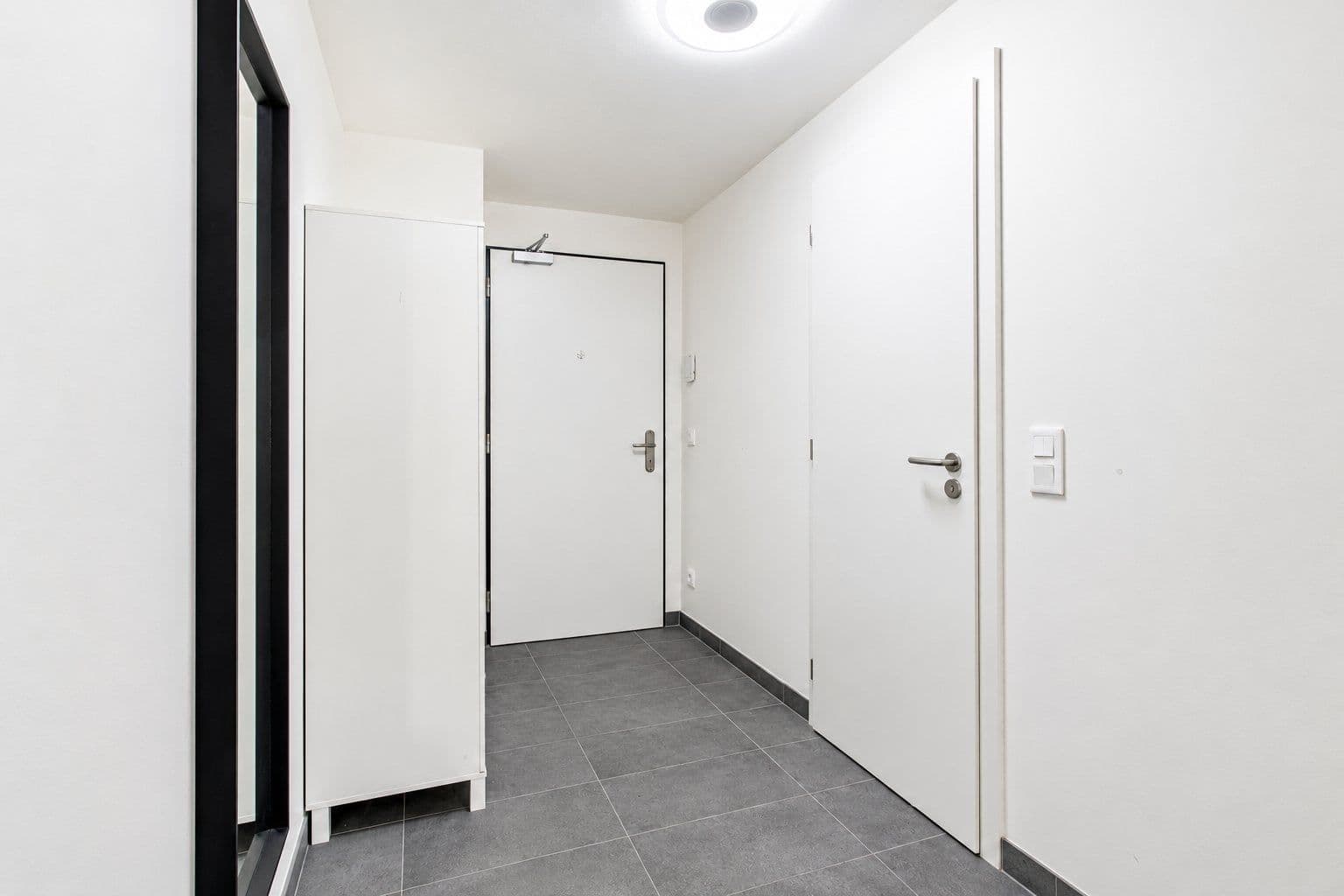 1 bedroom with open-plan kitchen flat to rent, 56 m², U plynárny, Prague, Prague 1 bedroom with open-plan kitchen flat to rent, 56 m², U plynárny, Prague, Prague