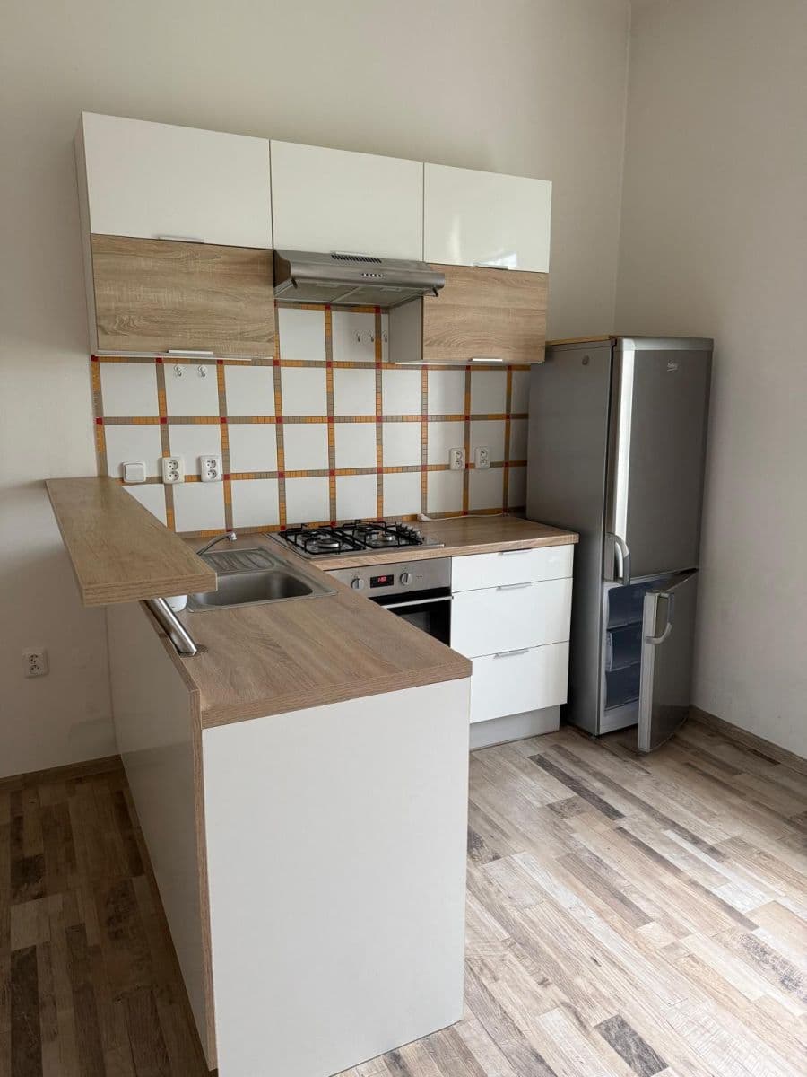 1 bedroom with open-plan kitchen flat to rent, 52 m², Chládkova, Brno, Jihomoravský Region 1 bedroom with open-plan kitchen flat to rent, 52 m², Chládkova, Brno, Jihomoravský Region