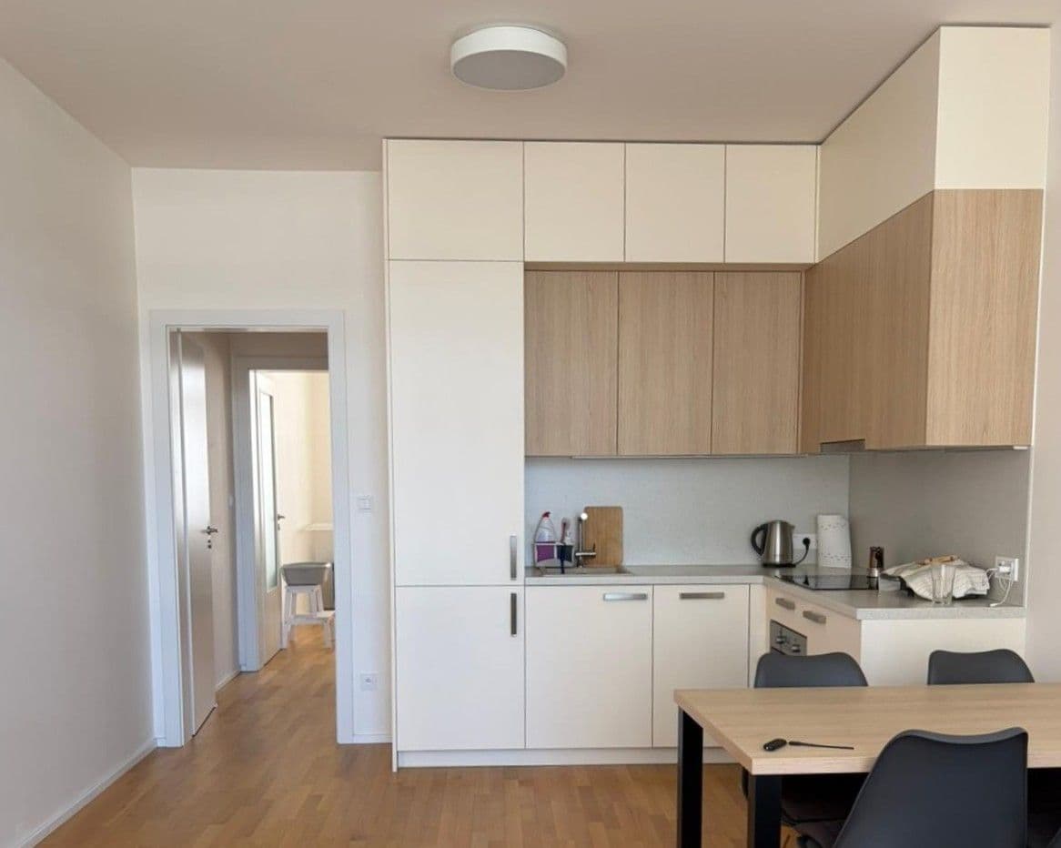 1 bedroom with open-plan kitchen flat to rent, 46 m², Tusarova, Prague, Prague 1 bedroom with open-plan kitchen flat to rent, 46 m², Tusarova, Prague, Prague