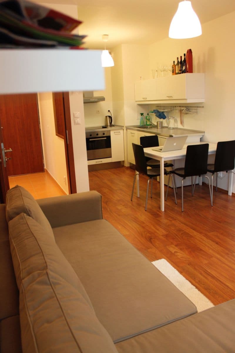 1 bedroom with open-plan kitchen flat to rent, 49 m², Babická, Prague, Prague 1 bedroom with open-plan kitchen flat to rent, 49 m², Babická, Prague, Prague